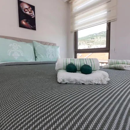 Fully Equipped Apartment In The Heart Of Mugla Appartement *